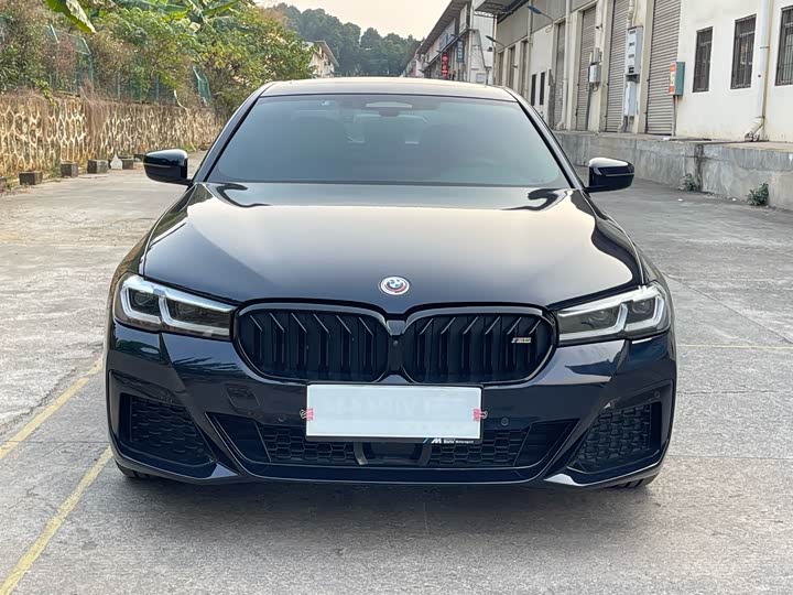 Фото 2 - BMW 5 Series Hybrid