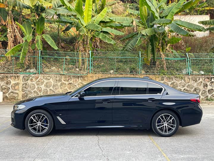 Фото 3 - BMW 5 Series Hybrid