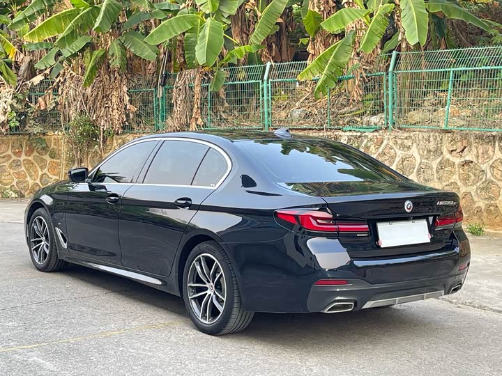 Фото 4 - BMW 5 Series Hybrid