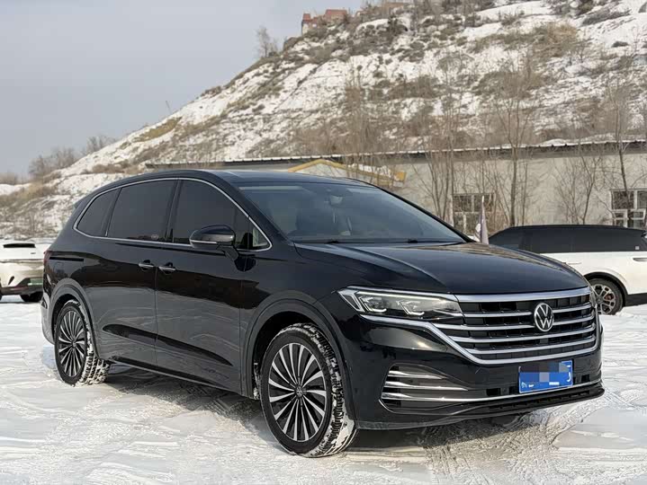 Фото 3 - Volkswagen Viloran