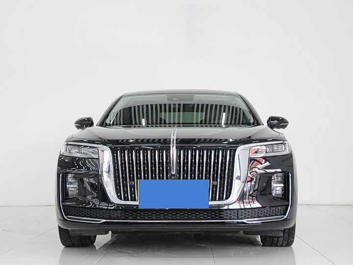 Фото 2 - Hongqi H9