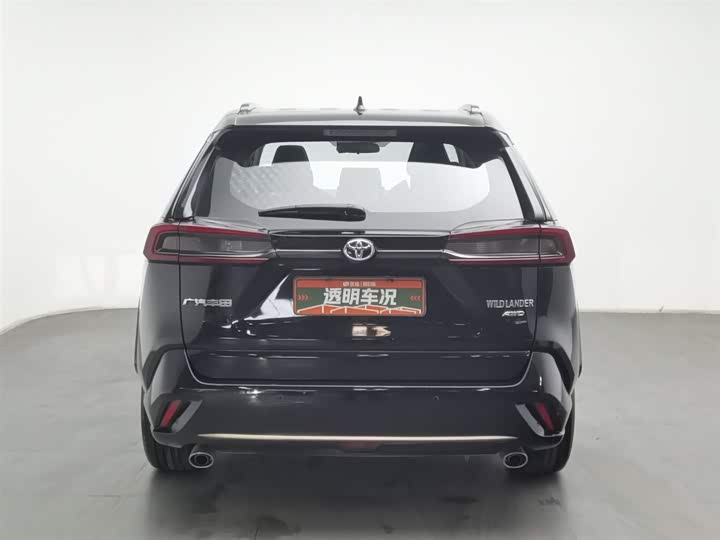 Фото 4 - Toyota Wildlander