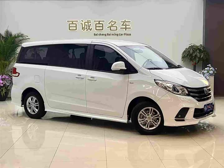 Фото 3 - Maxus G10