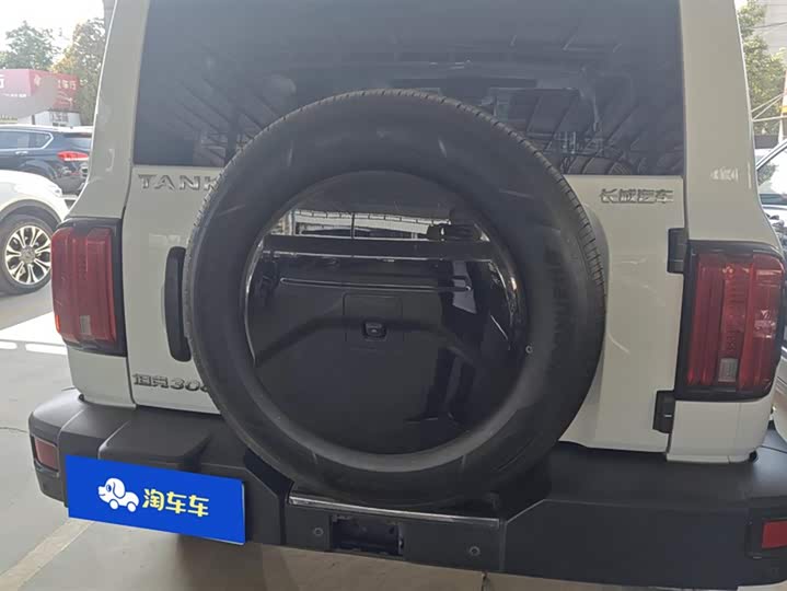 Фото 4 - Tank 300