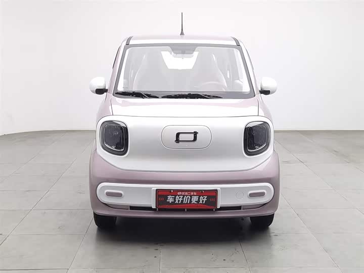 Фото 3 - Bestune Pony