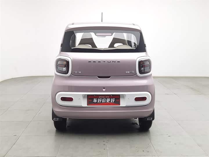 Фото 4 - Bestune Pony