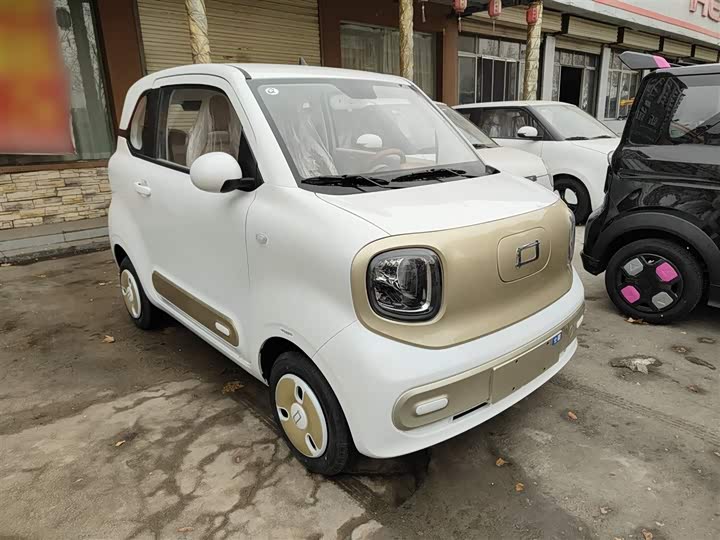 Фото 4 - Bestune Pony