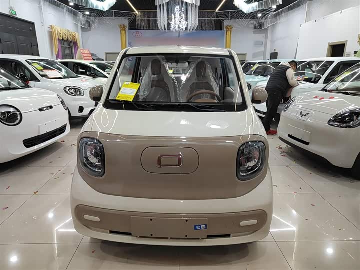 Фото 3 - Bestune Pony