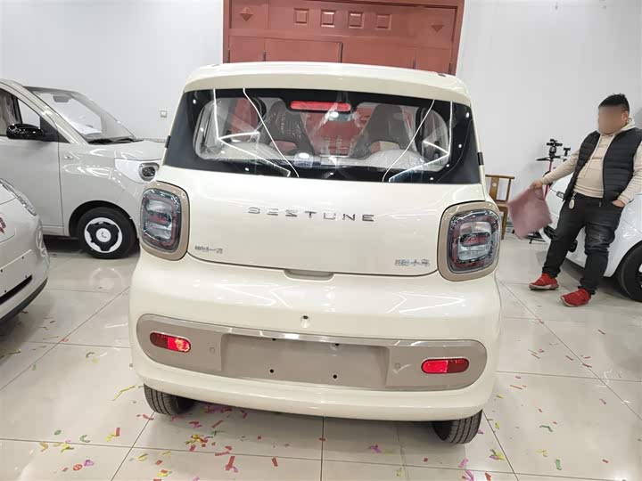 Фото 6 - Bestune Pony