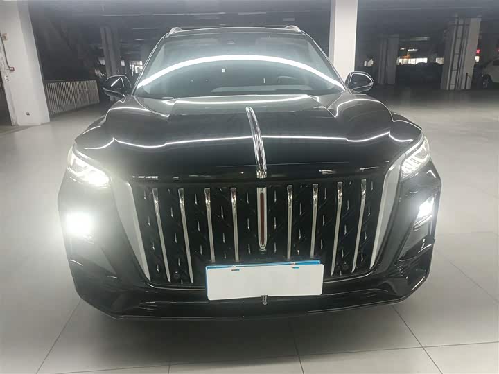 Фото 3 - Hongqi HS5