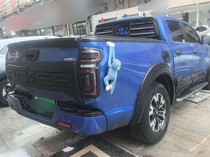 Фото 3 - Great Wall Pao