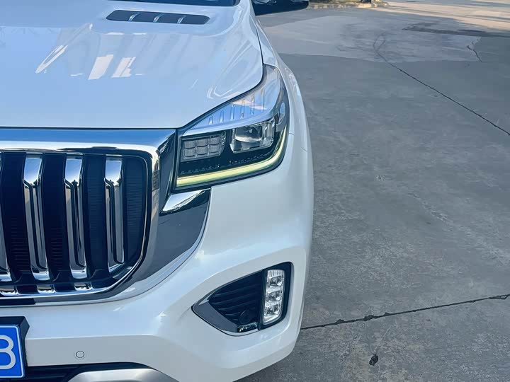 Фото 7 - Haval H9