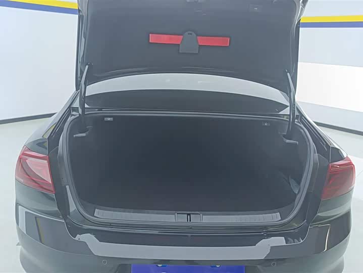 Фото 4 - Volkswagen Magotan