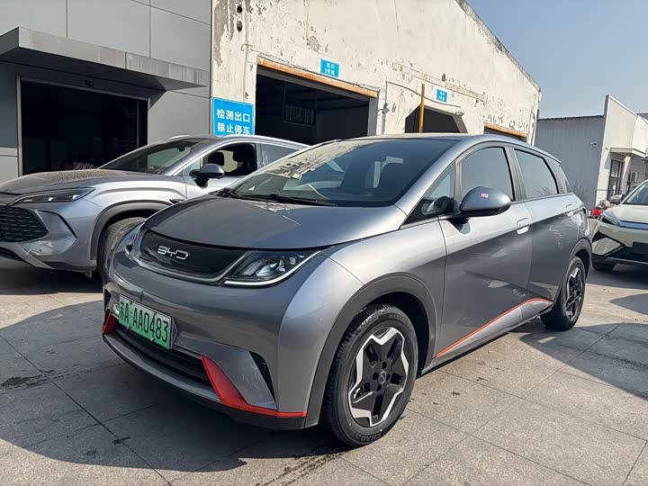 Фото 1 - BYD Dolphin