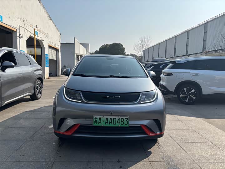 Фото 2 - BYD Dolphin