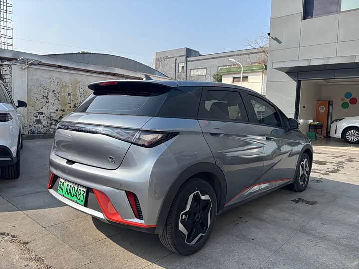 Фото 4 - BYD Dolphin