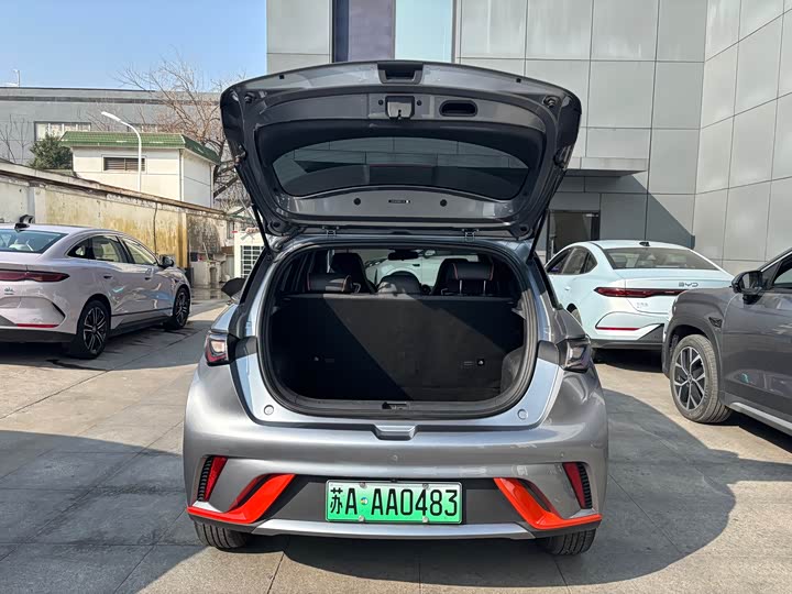 Фото 6 - BYD Dolphin