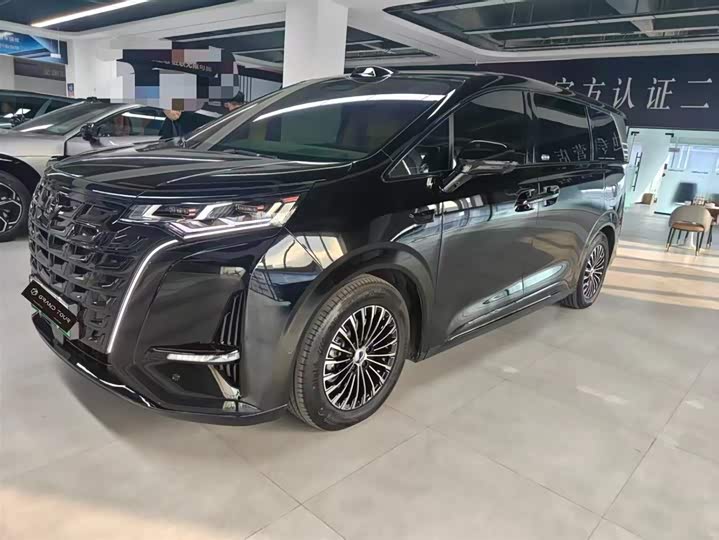 Фото 1 - Denza D9