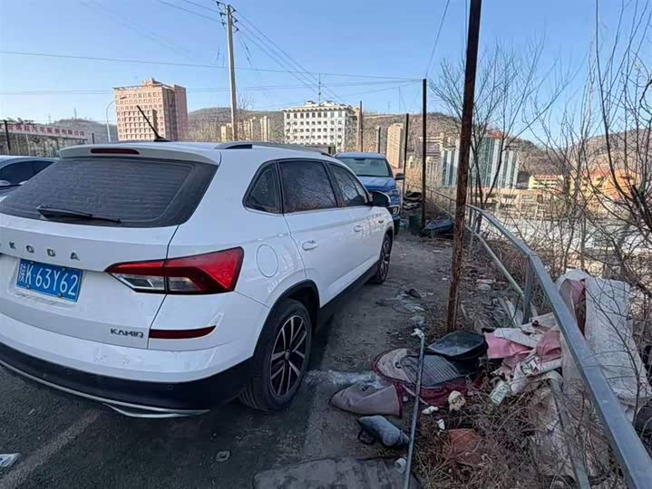 Фото 6 - Skoda Kamiq