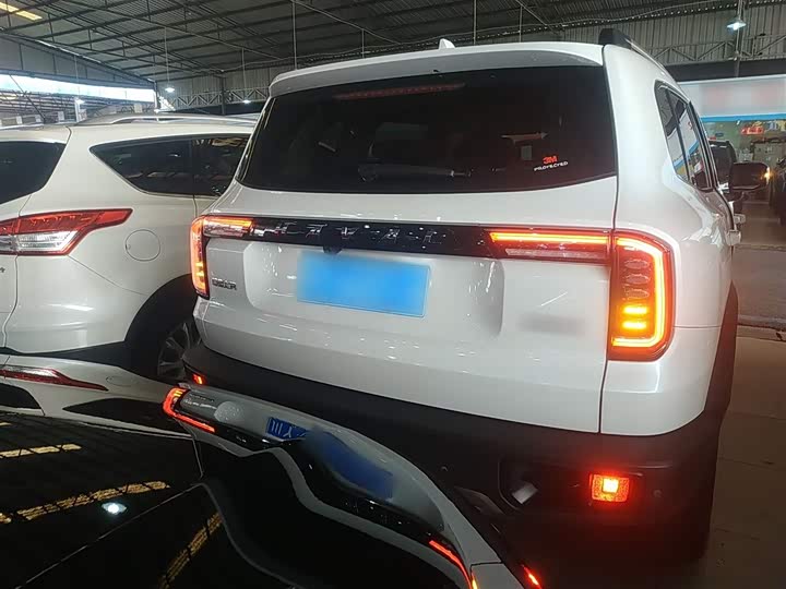 Фото 6 - Haval Dargo