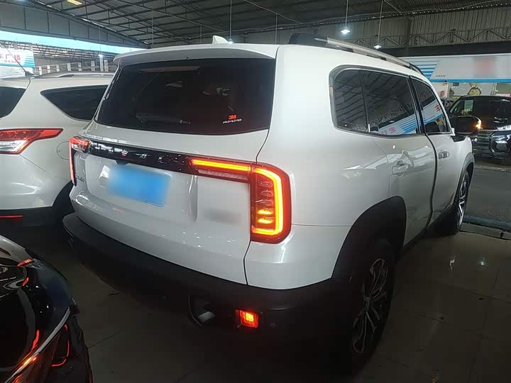 Фото 7 - Haval Dargo