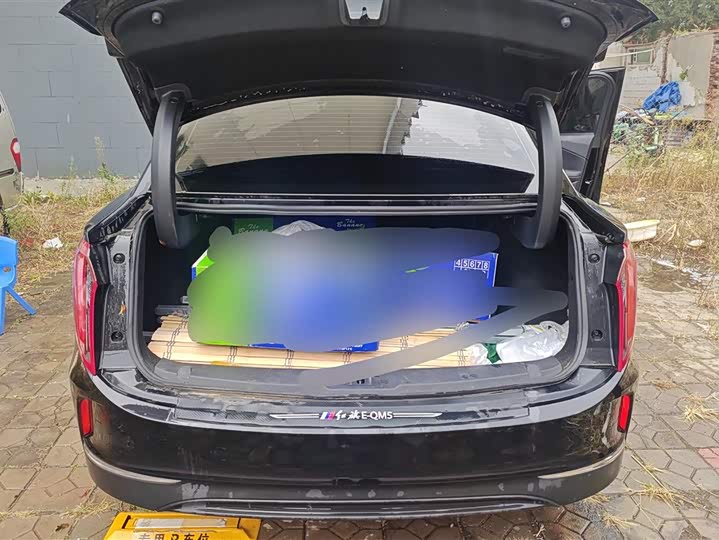 Фото 4 - Hongqi E-QM5