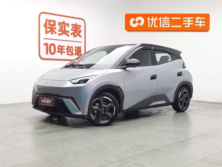 Фото 1 - BYD Seagull