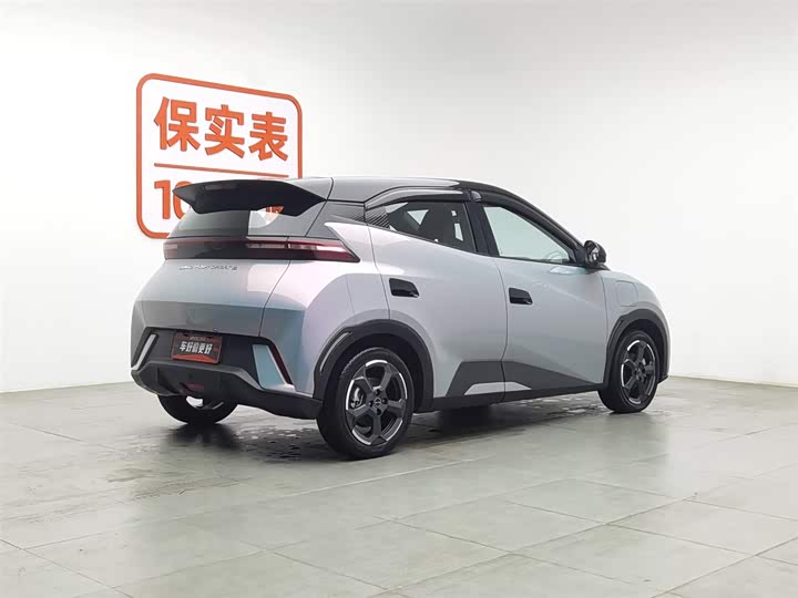 Фото 2 - BYD Seagull