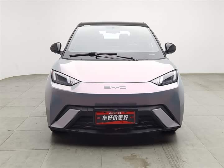 Фото 3 - BYD Seagull