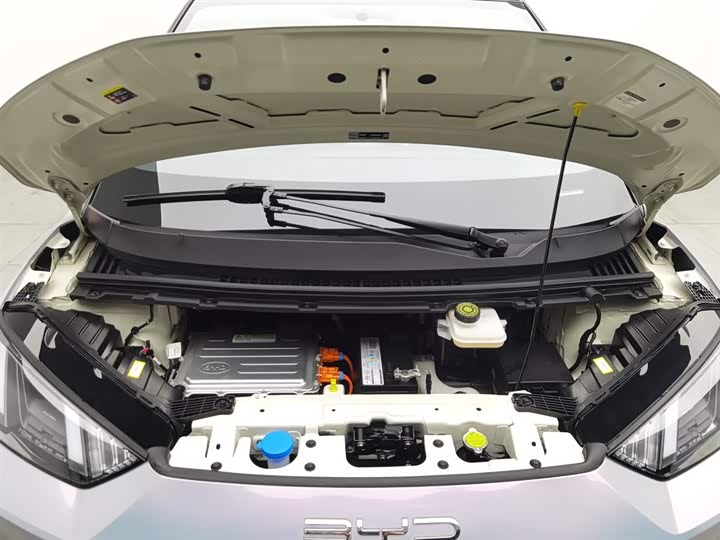 Фото 6 - BYD Seagull