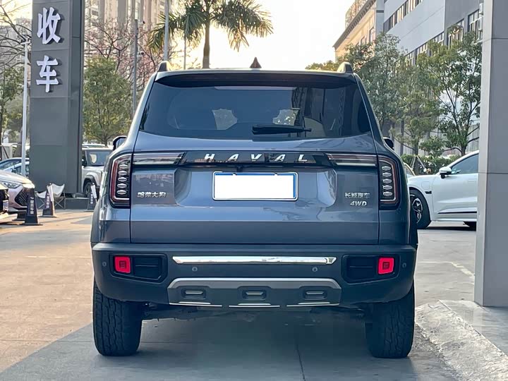 Фото 3 - Haval Dargo