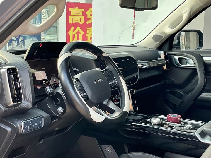 Фото 7 - Haval Dargo