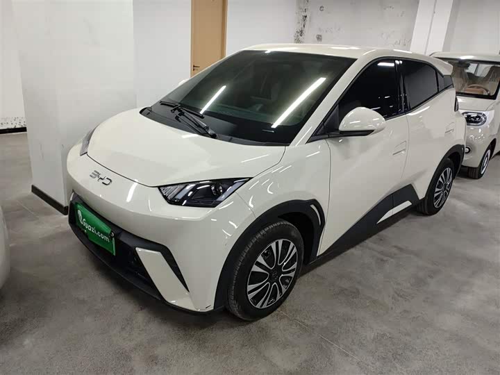 Фото 1 - BYD Seagull