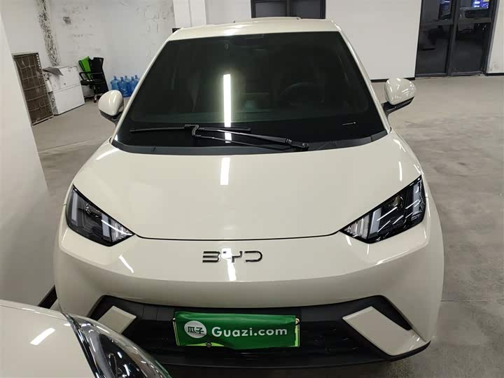 Фото 3 - BYD Seagull