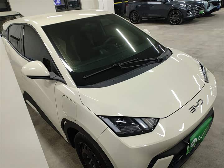 Фото 4 - BYD Seagull