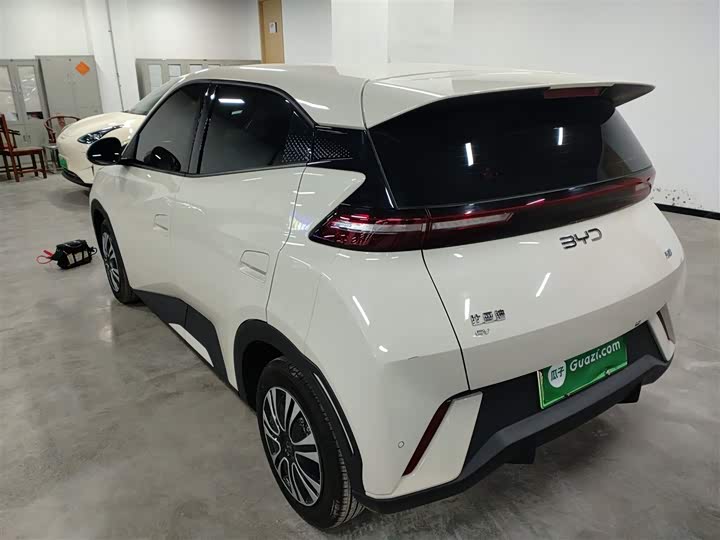 Фото 5 - BYD Seagull