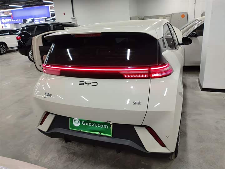 Фото 6 - BYD Seagull