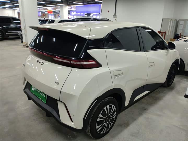 Фото 7 - BYD Seagull