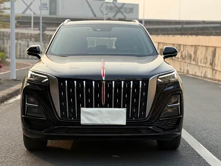 Фото 2 - Hongqi HS5