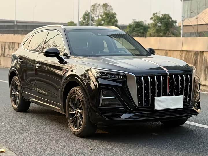 Фото 3 - Hongqi HS5