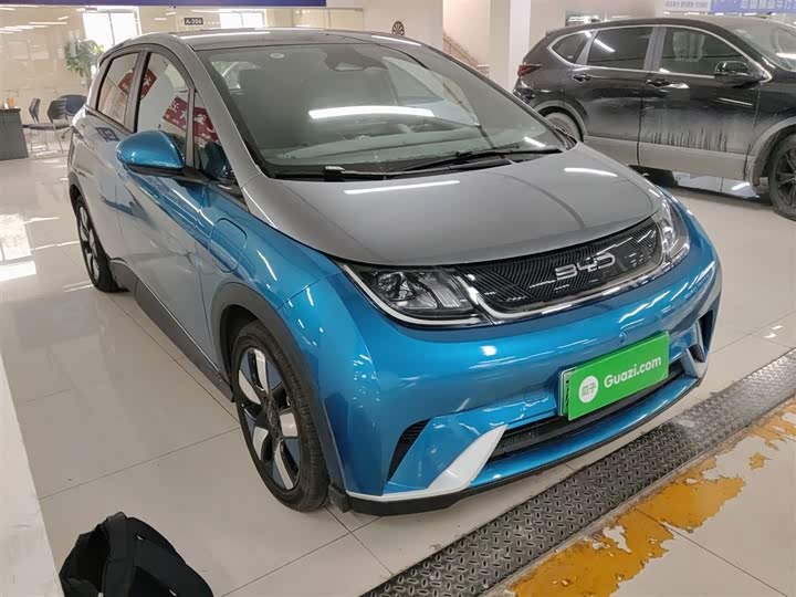 Фото 4 - BYD Dolphin