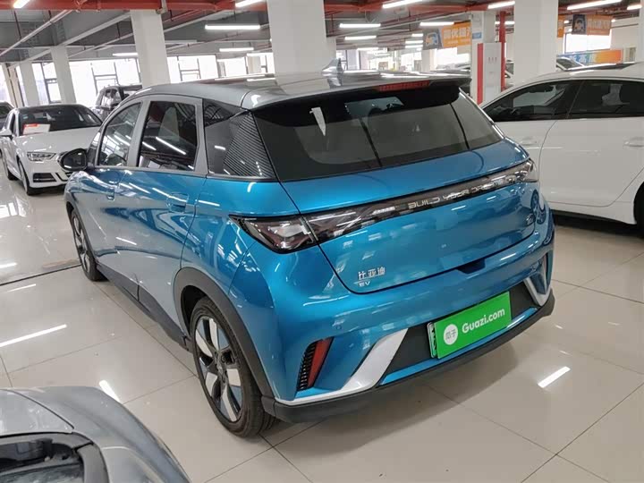 Фото 5 - BYD Dolphin