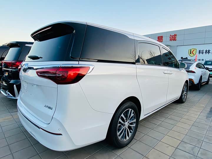 Фото 9 - Buick GL8 ES