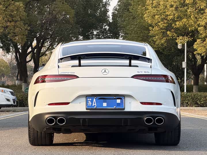 Фото 5 - Mercedes-Benz AMG GT