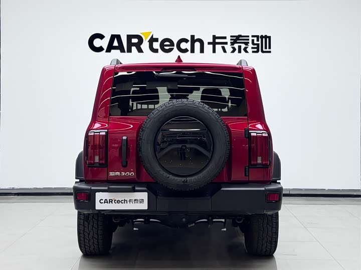 Фото 5 - Tank 300