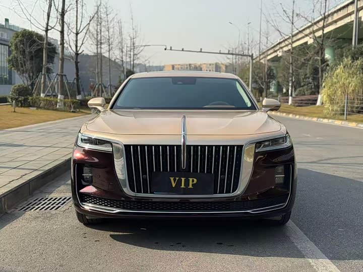 Фото 2 - Hongqi H9