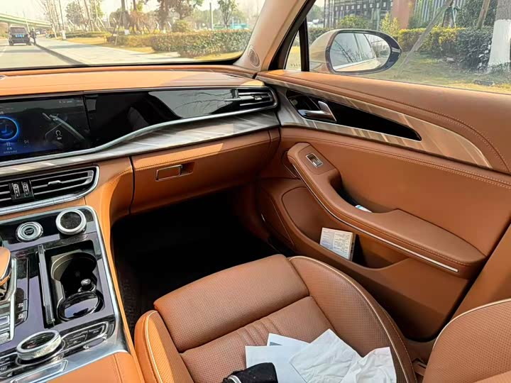 Фото 6 - Hongqi H9