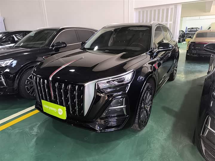 Фото 2 - Hongqi HS5