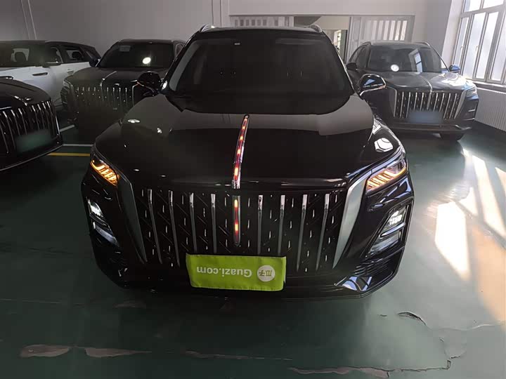 Фото 3 - Hongqi HS5