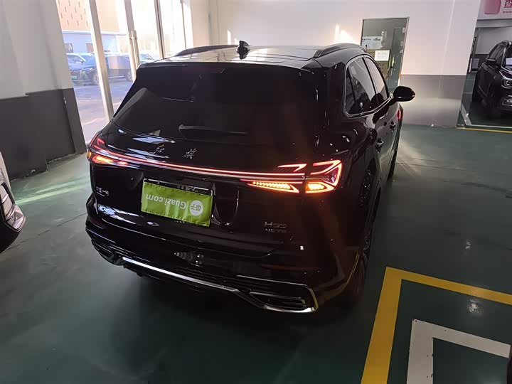 Фото 7 - Hongqi HS5
